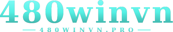 480winvn logo